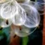 64f8d262 d6c5 3f0f 824d ae4b9b27ddb8
